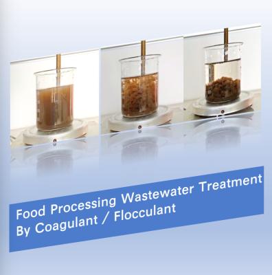 Food Industry Processing 55295 98 2 Water Decoloring Agent