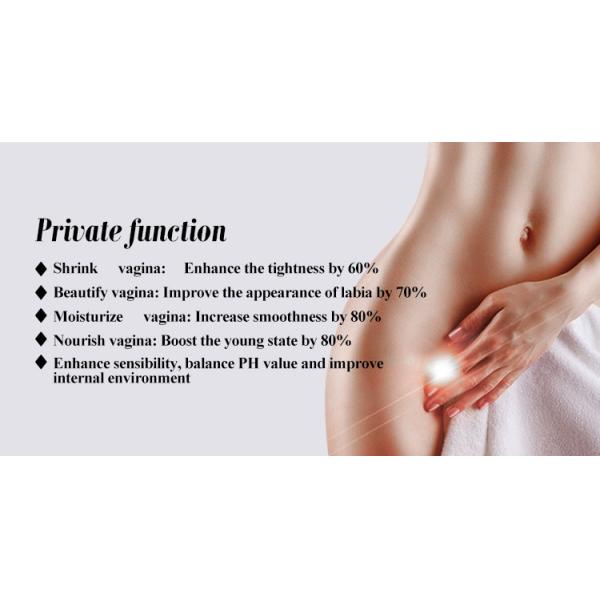 68.0 kg CO2 Fractional Laser Machine Vaginal Therapy System 12 Months Warranty