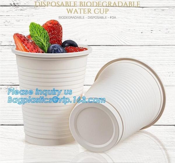 Compostable Sugarcane Cup 8/12oz Eco Friendly Biodegradable Bagasse Coffee Cups, Sugarcane Bagasse Pulp