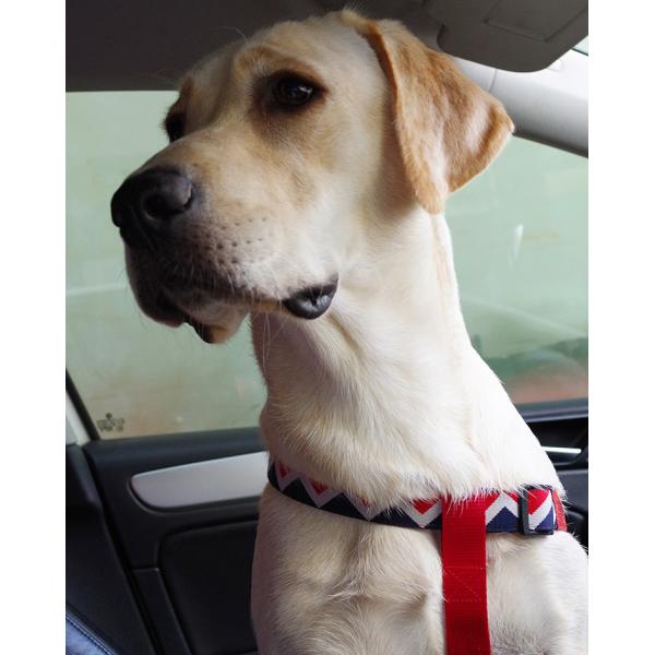 Anti Escape Christmas Dog Vest Harness For Small Dogs Pets Adjustable Puppy Harness