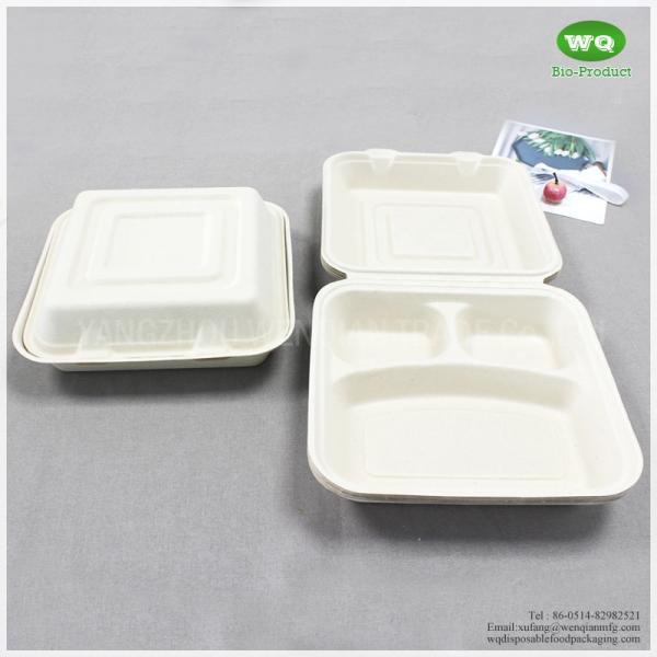 8x8 Inch Three Compartments Compostable Sugarcane Fiber Disposable Lunch Box-Disposable Food Packaging Manufacturer