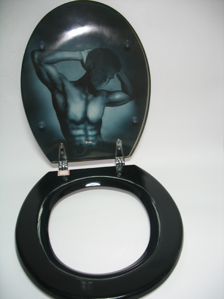 resin toilet seat cover,sanitary ware,hinge,MDF,PVC,PP,toilet,duroplastic toilet,body pic