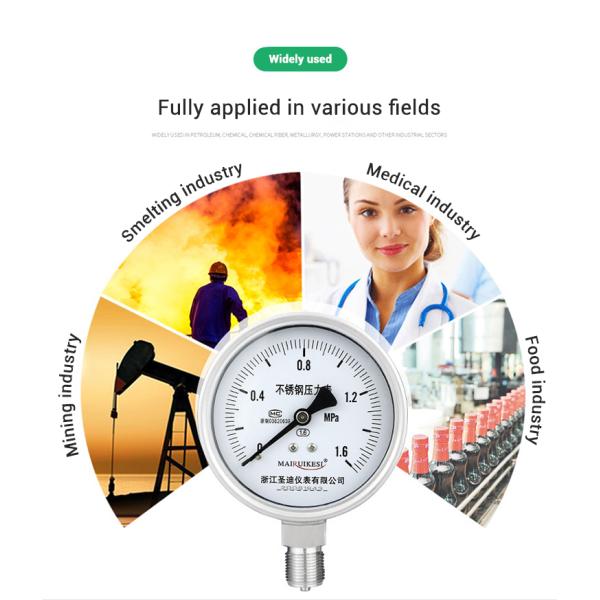 Customized Stainless Steel Pressure Gauge for OEM Mpa Scale LPG 100mm Pressure Test Gauge
