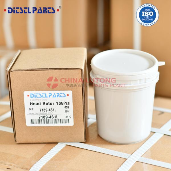 7189-461L Wholesale New Diesel Fuel Pump Head Rotor 7189-461L with Rotor 018L 3/7R Factory direct sale high quality diesel DPT pump head rotor 7189-461L 7189461L