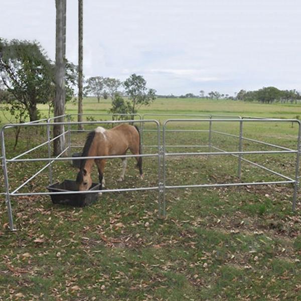 3 Rails Hot Dip Galvanized Horse Holding Yard Panel 2000 X 1350mm