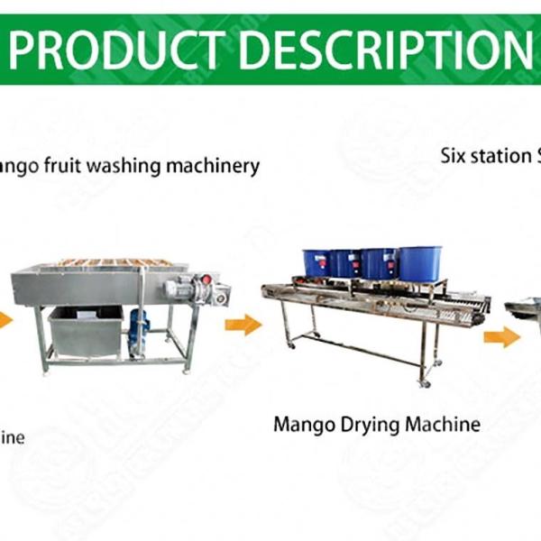 Industrial Mushroom Air Bubble Washing Machine Tomato Paste Making Process Machine Clean Vegetable Processing