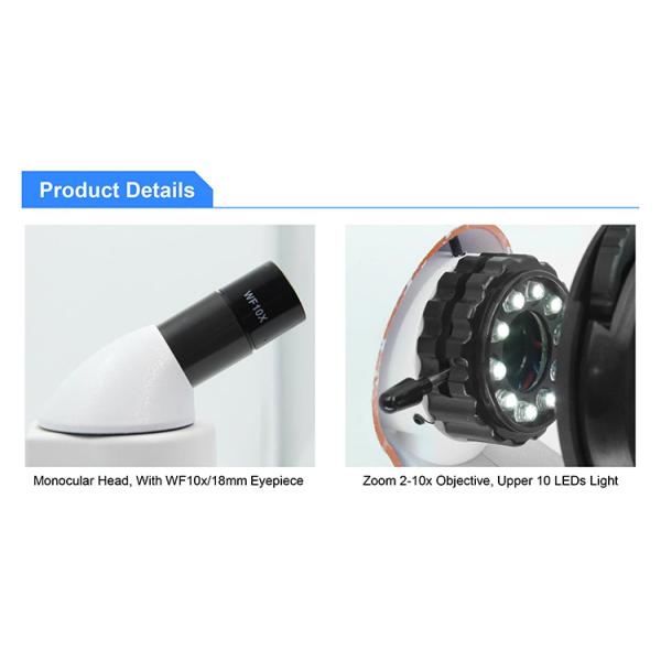 Stereo OPTO EDU 20x-100x Binocular Biological Microscope