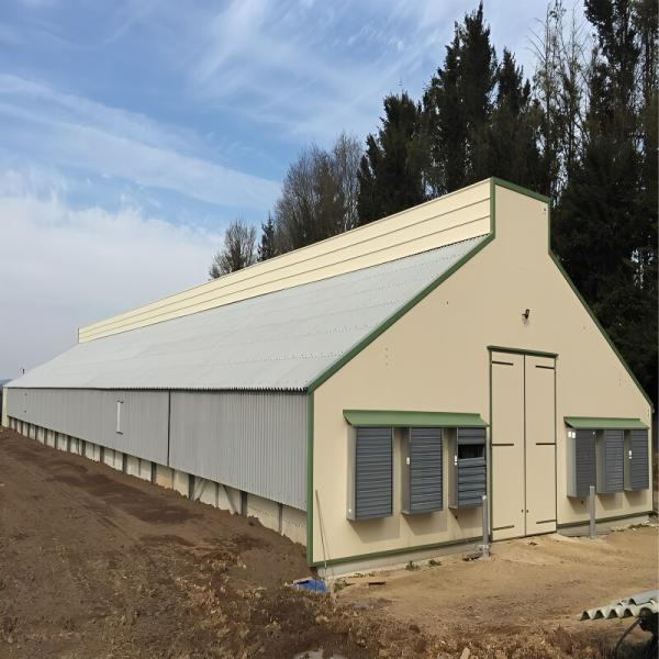 Maison de charpente en acier léger et peu coûteux, bâtiment agricole en acier préfabriqué