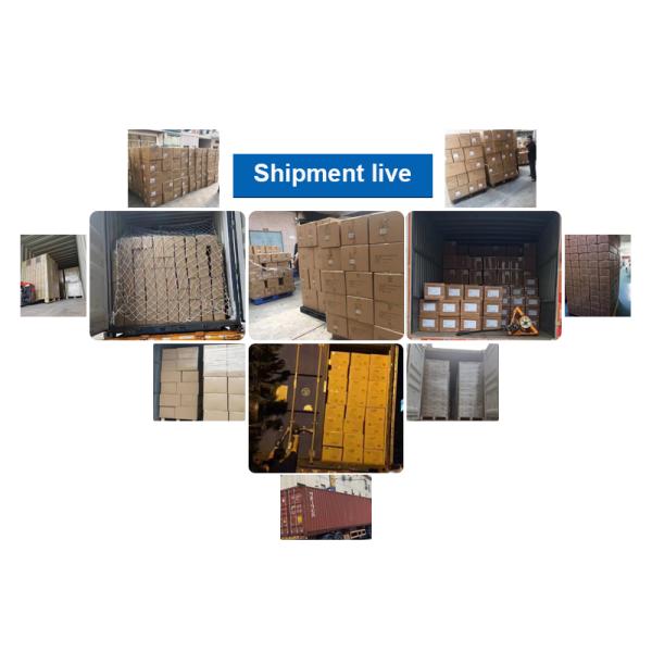 Коннектор M12 с водянистыми 8-контактными формованными розетками