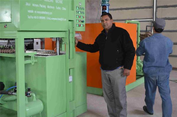Maquinaria de reciclagem profissional de venda quente de Tray Molding Machine Egg Carton do ovo da celulose