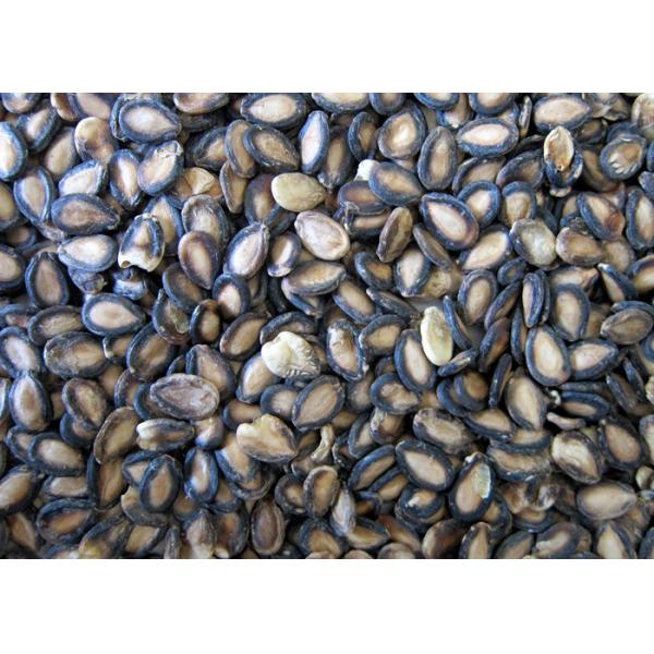 Watermelon Seed Kernels Walnut Sorting Machine Intelligent 8 Channels