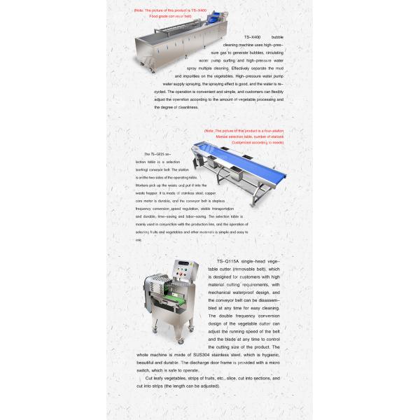 Vegetable Hair Roller Bubble Washing Selection Cutting Machine Production Line