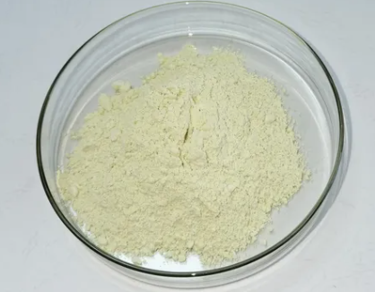 GMP factory Urolithin A  powder CAS 1143-70-0   Urolithin A  low price