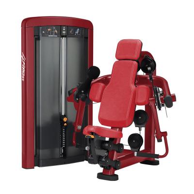 Aptidão resistente da onda do bíceps do equipamento do exercício do Gym dos artigos customizáveis para o Gym