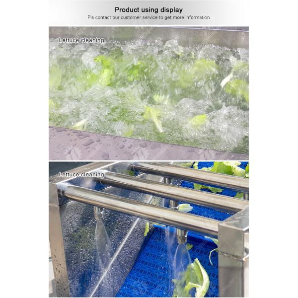 Cleaning processing production Machine Vortex vegetable washing machine red beans  mung beans  green peas beans canning Potato  Potatoes and round tuber crops Carrots and longitudinal root vegeta