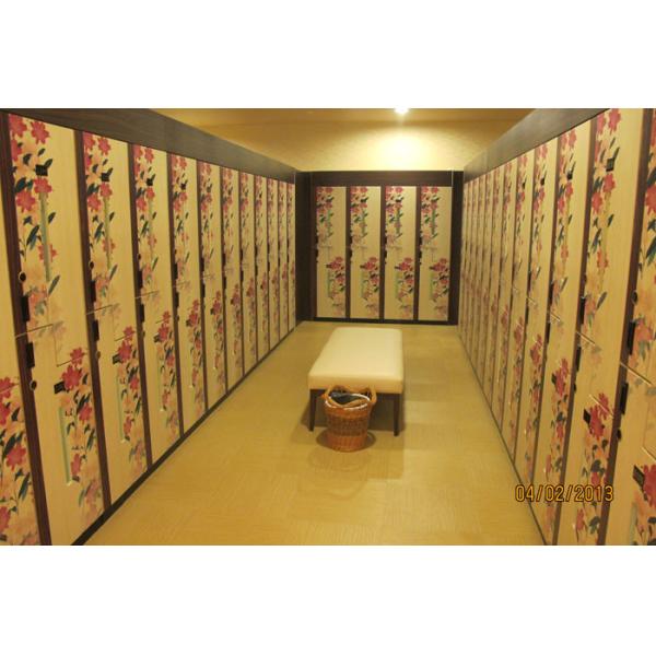 Print Door Smart Locker System , 2 Tier Lockers Steel Body Wood Door For Club