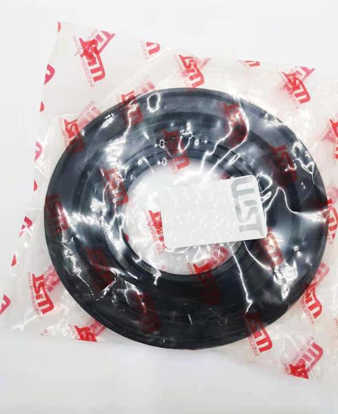 Qingling Isuzu Part Front Wheel Oil Seal 3103070-10 8942481171