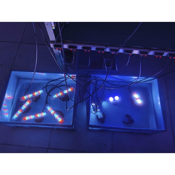 Waterproof Marine Underwater Boat Transom Lights 316L Stainless Steel