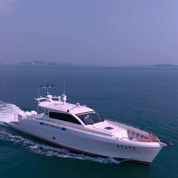 2025 New Type Large Aluminum Alloy Luxury Boat with Certificate Limited Time Sale
