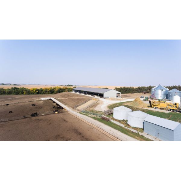Open House Design Custom Steel Structure Prefab Cattle Farm Shed With Roof Ventilation