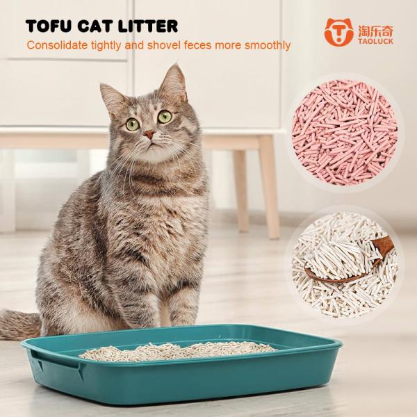 Tofu parfumé poubelle de chat citron pomme poudre pour bébé rose en masse poubelle de chat