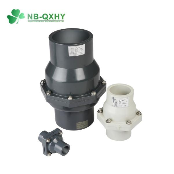 Pn10 200psi PVC Wafer Check Valve com opção de solicitação personalizada