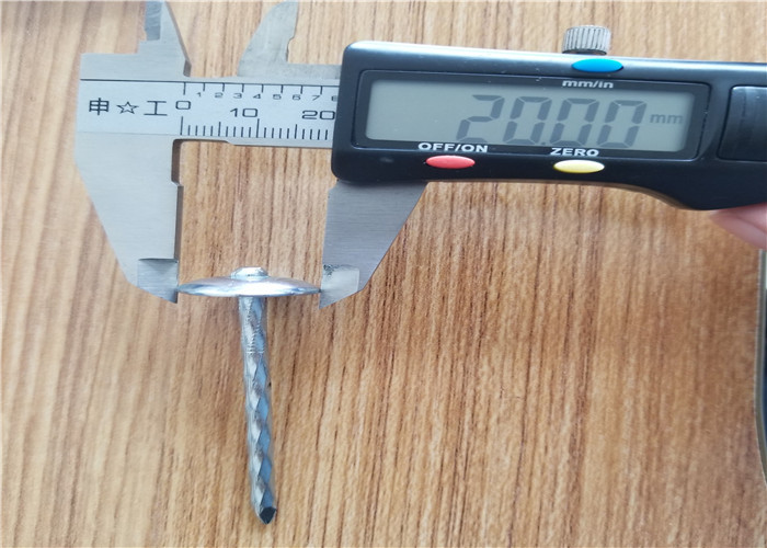 коробка 25kg гальванизировала переплетенные ногти толя зонтика
