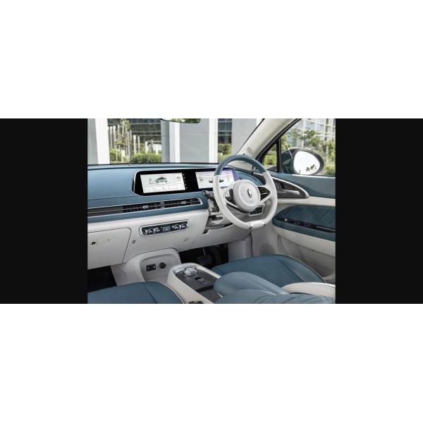 GWM S Ora Cat EV RHD ORA 03 500 Km Range EV В Южной Африке 48 ~ 63 кВтч Мощность батареи