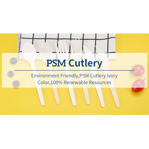 PSM Disposable Eco Friendly Cutlery Biodegradable For Camping