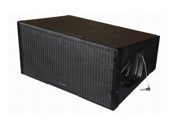 100W Live Sound Speakers With CELESTION 1.4 / 2x10 Neodymium Drivers