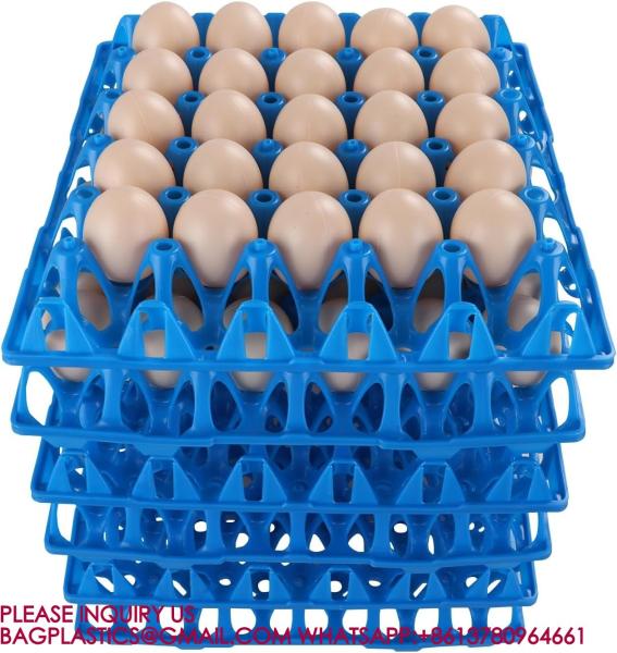 Plastic Tray And Egg Box Plastic Egg Tray For 30 Holes Egg Plastic Tray Plastic Egg Racks