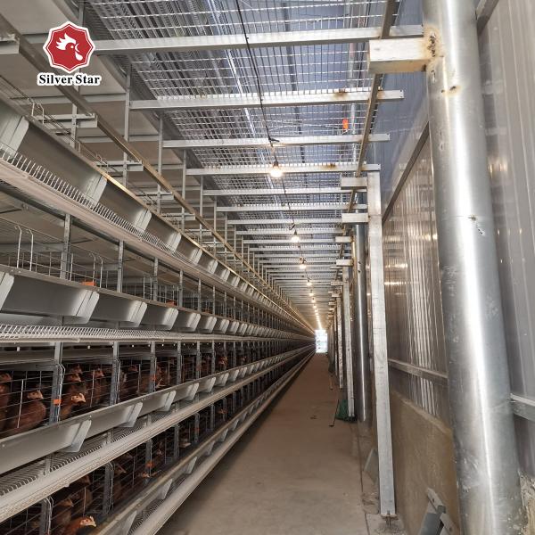 Poultry Farm Automatic A Type Galvanized Layer Egg Laying Chicken Battery Cage System