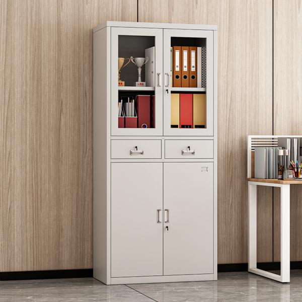 Modern Full-Glass Storage Metal File Cabinet with 2-Swing Glass Door for Office Home School Outdoor Living Room Gym Hospital Use