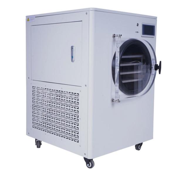 Small Home Grain Corn Bean Mushroom Fruits Lyophilizer Vacuum Freeze Drying Machine Home Freeze Dryer