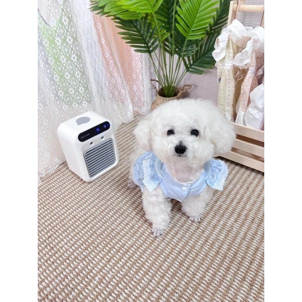 Portable Pet Spray Cooling Fan | Dog Cat Kennel Water Air Cooler