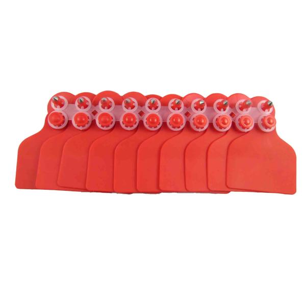 animal cattle ear tags,cow ear tag