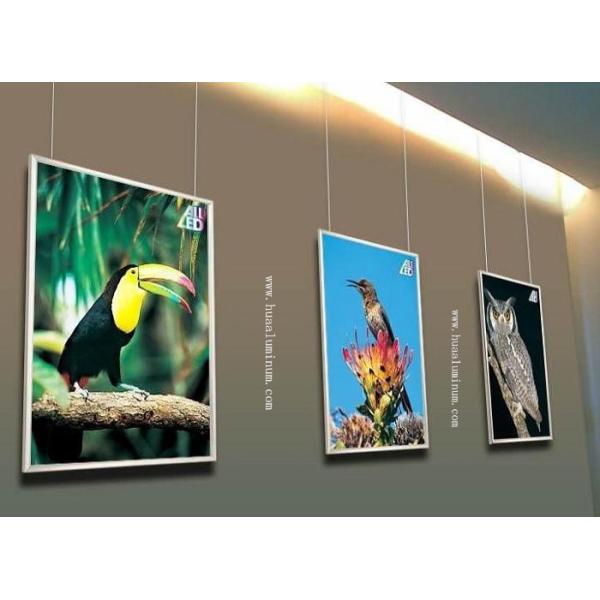 ASTM 6mm Signage Aluminum Composite Panel 1550mm Anodized Surface