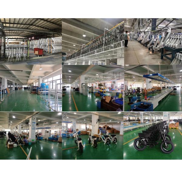 Smart Sensor Dual Battery Cargo Ebike Customized for Family Delivery Convenience