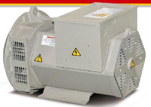 Alternadores sem escova elétricos