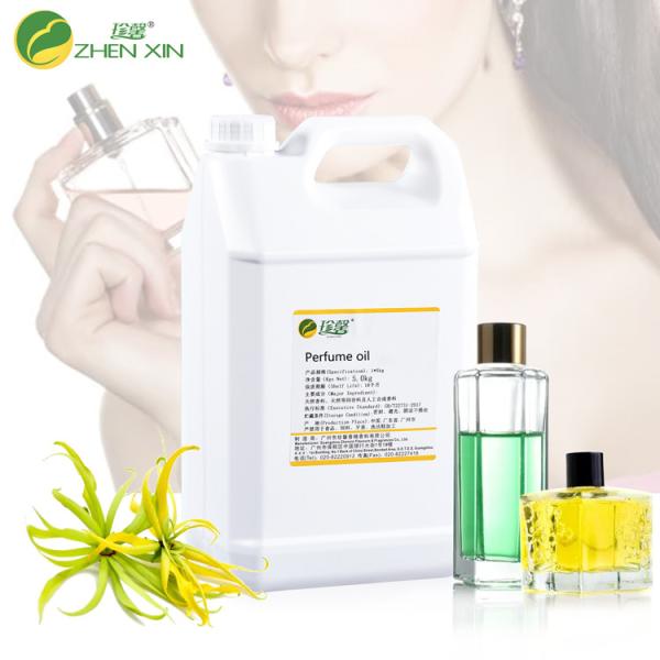 Fragranças de meninas Perfumes Óleo Líquido Concentrado Com Amostra Gratuita 10ml