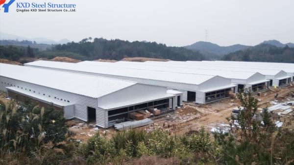 Prefabricated Steel Poultry House with Q235/Q355 H Section Steel Structure