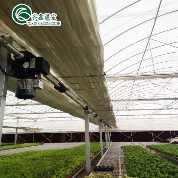 Large Steel Greenhouse Structure Shed Design With 150/200micro PE Film Covering