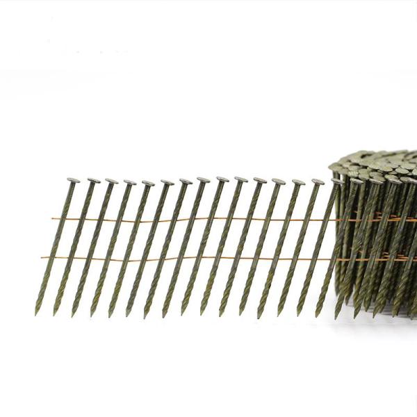 Mexico factory high quality 15 degree wire coil nails Screw Ring Smooth shank pallet coil nails