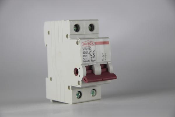 Vis100 2p 80a Main Switch Isolating Circuit Breaker Household Function Disconnector Isolator 32a 63a 100a