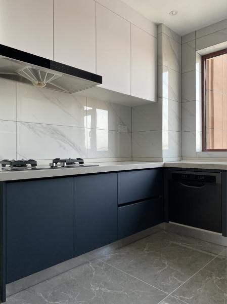 Atmospheric Multi-Color Texture Mix And Match Modern Kitchen Cabinets