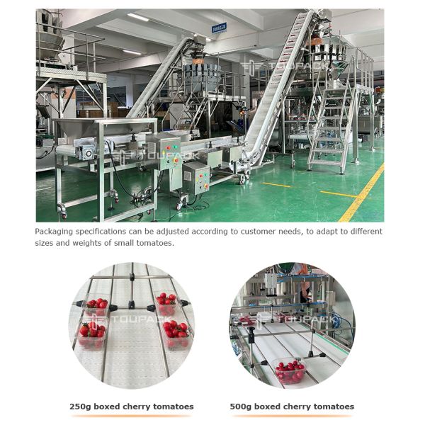 Automatic Cherries, cherry tomatoes, blueberries Fruit Clamshell Weighing & Packaging Line