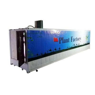 40ft Container Greenhouse Farm for Temperature Climate Controlled Vegetable Growth
