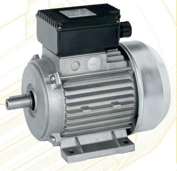 4 Pole Capacitor Start Asynchronous Electric Motor / 1 Phase Electric Motor