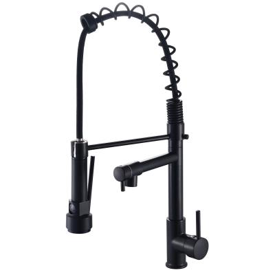 Gravity Casting Kitchen Faucet with Deck Mounted Installation and Pull Down Sprayer Function