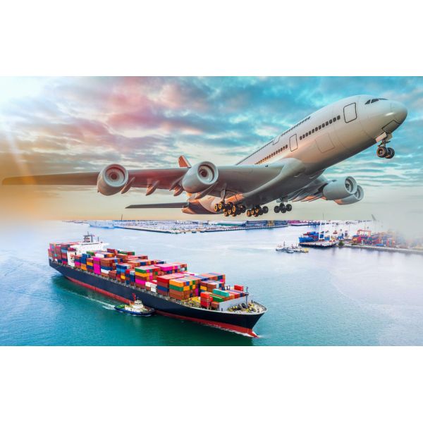 Air / Ocean International Freight Forwarding Services From China To The World